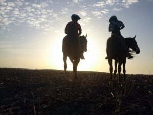 Paseo a caballo al atardecer