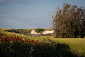 Cortijo de Ébora